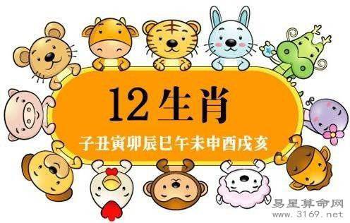 属兔的人几月份出生命运最佳