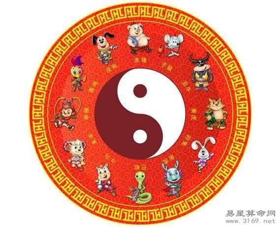 5月生下来属猪运势怎样