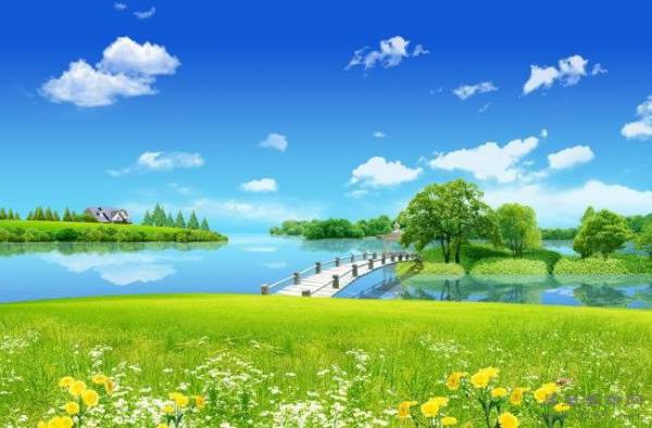 不一样季节生下来的属狗的人财运