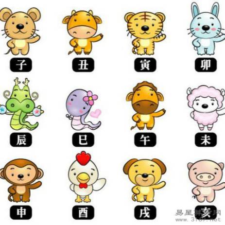 生肖属猪人的男艺人有哪些